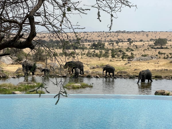 Randi Robinowitz photo 12