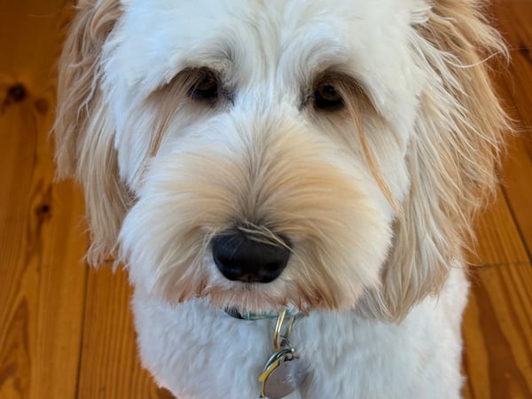 Heather Sawyer photo 14