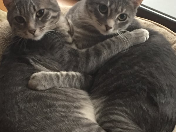 Bryan Morris photo 2