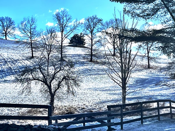 Rich Pomerantz photo 7