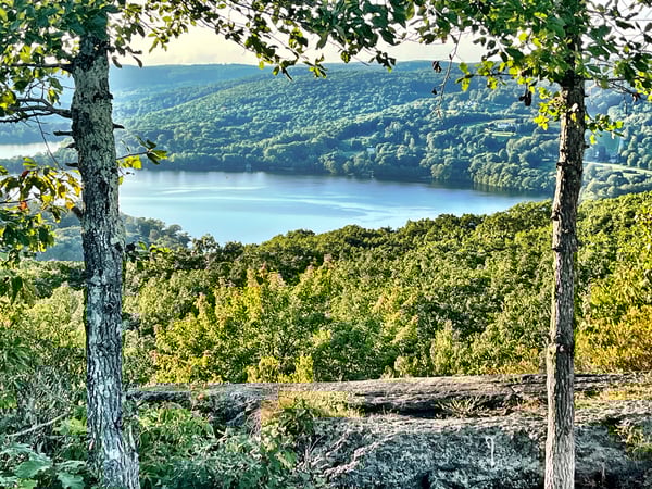 Rich Pomerantz photo 5