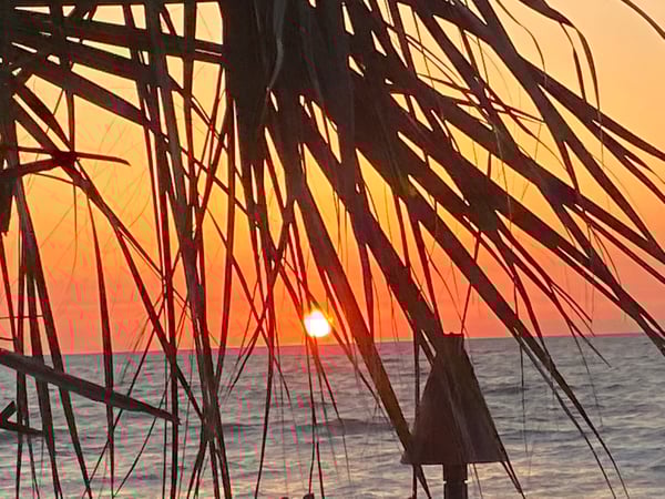 Kathy Mitchell photo 3