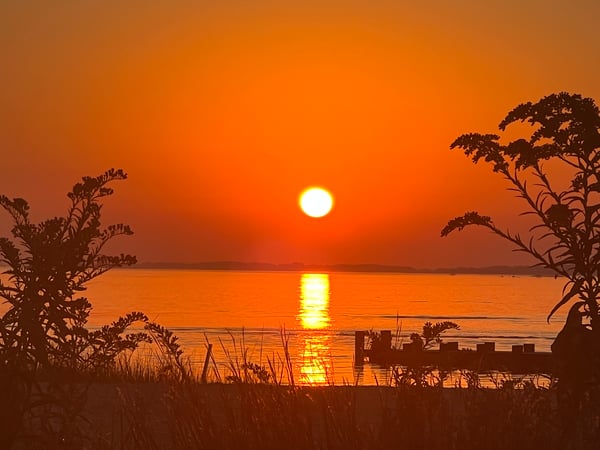 Sydney Anderson photo 1