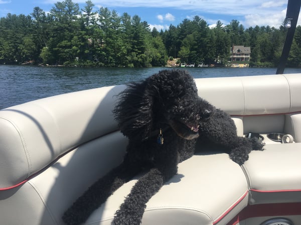 Sydney Anderson photo 8