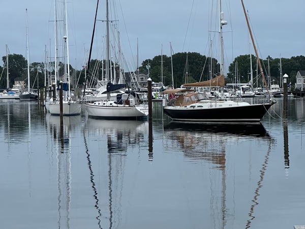 Samantha Behm photo 1