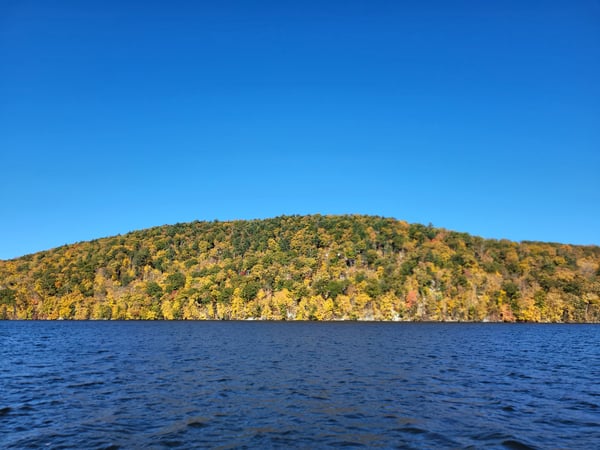 Lauren Weber photo 2