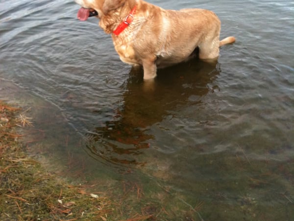 Michael Foley photo 5