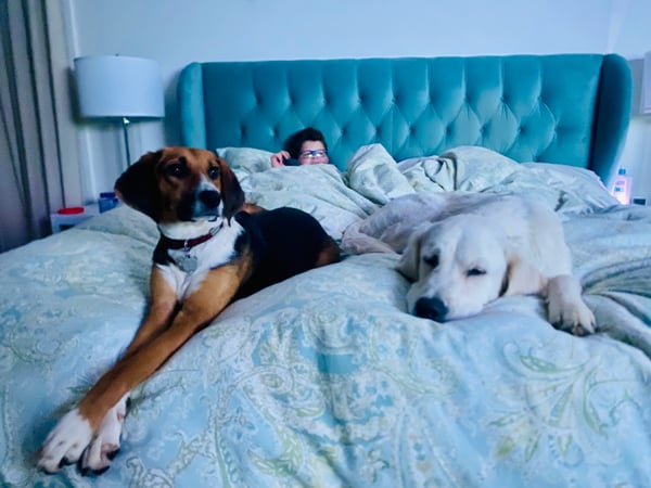 Suzanne Swanson photo 12