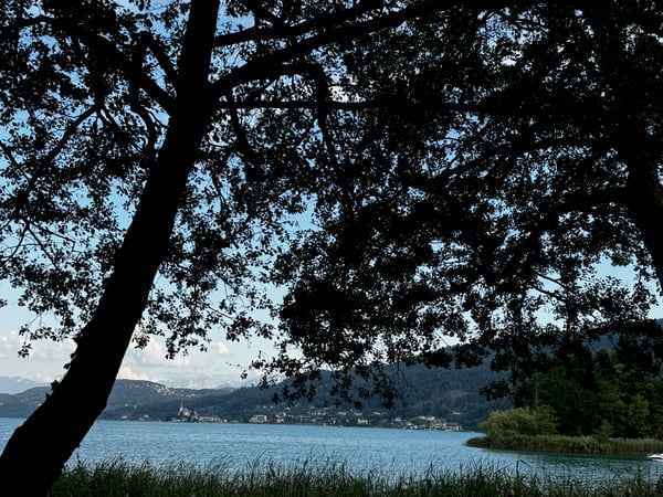 Shara Panzer photo 8