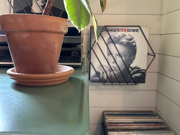 Courtney Farrell photo 3