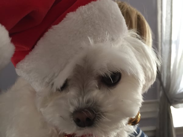 Josef "Joe" Muller photo 18