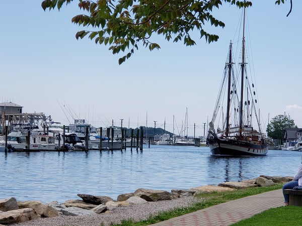 Carolyn Greer photo 13