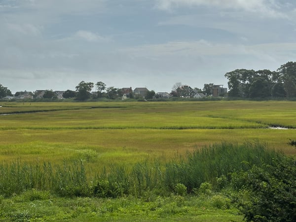 Melanie Scull photo 1