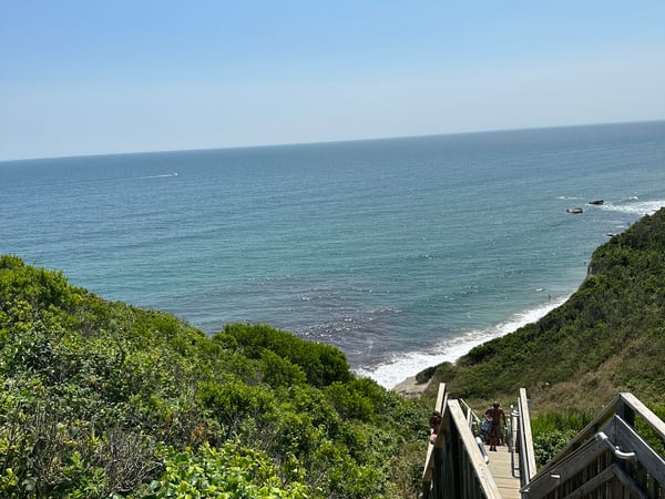 Melanie Scull photo 8