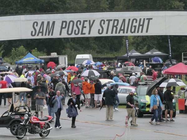 Diane Stevens photo 4