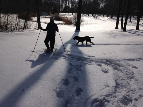 Diane Stevens photo 5