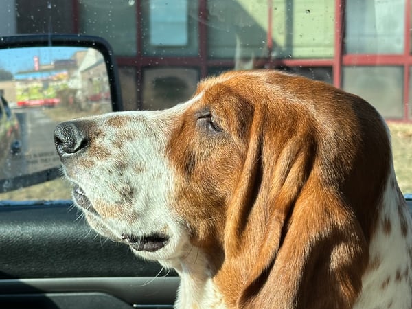 Rich Companik photo 3