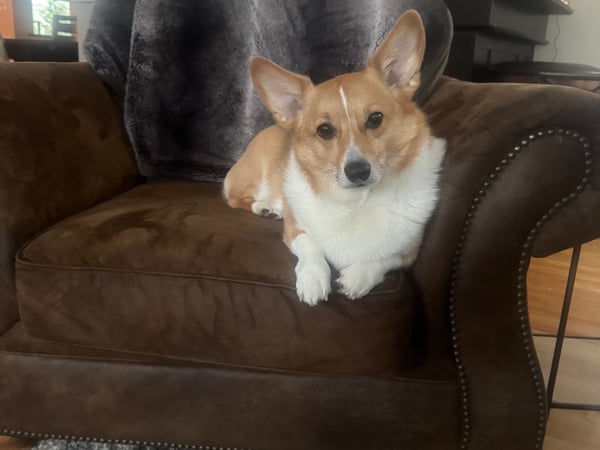 Jules G. Etes photo 7