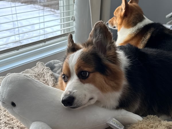 Jules G. Etes photo 8