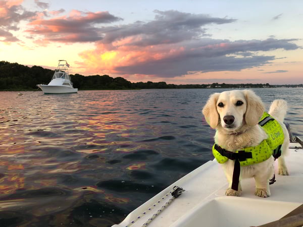 Wesley Hefel photo 8