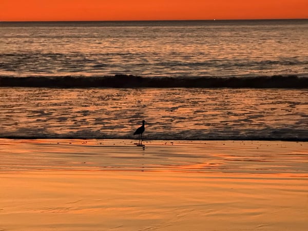 Catherine McDonald photo 3