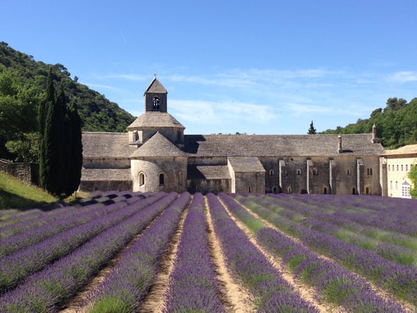 Tony Cutugno photo 8