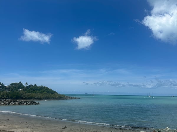 Debra Pardales photo 32