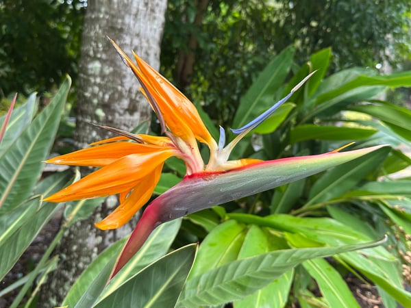 Debra Pardales photo 33