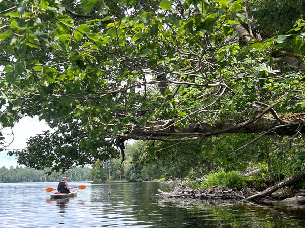 Karen Kaminski-Marchetto photo 2