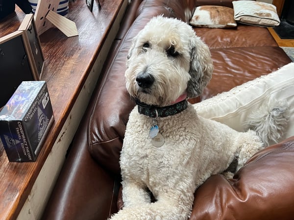 Janet Cronin-Rumanoff photo 7