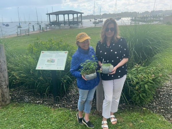 Elizabeth Johnstone photo 3