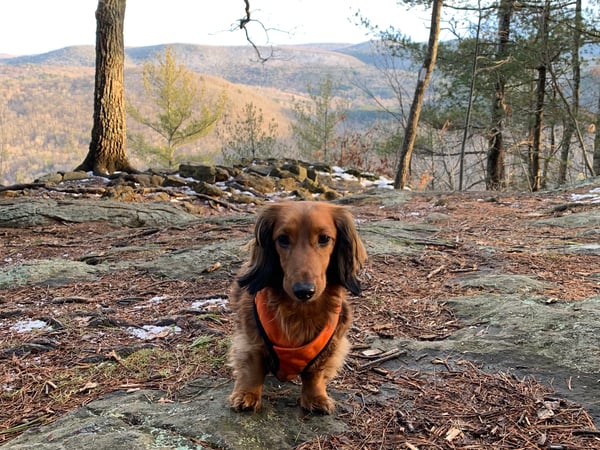 Brian Martin photo 2