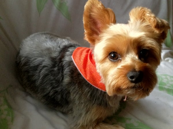 Fatin Beiner photo 1