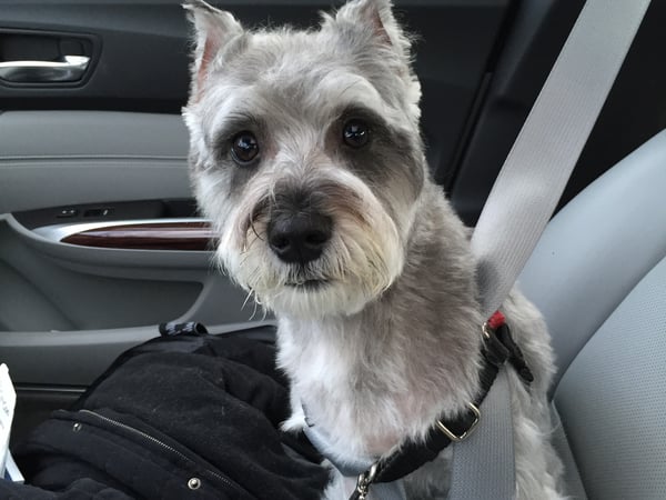 Fatin Beiner photo 4