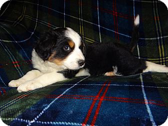 Diane DeVries photo 1