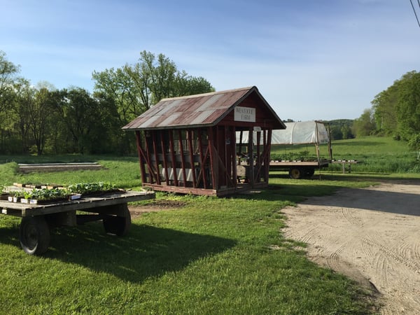 Elvia Gignoux photo 9