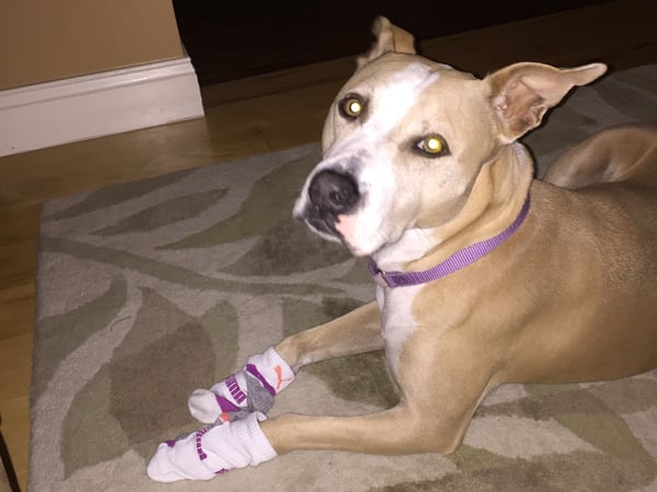 Lainie Floyd photo 7