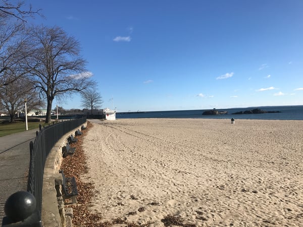 Joni Alexopoulos photo 1