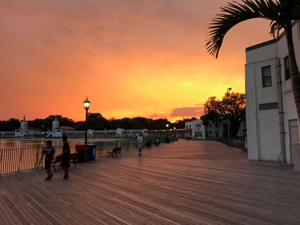 Joni Alexopoulos photo 4