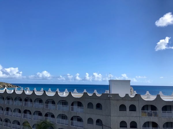 Janet Nelson photo 9