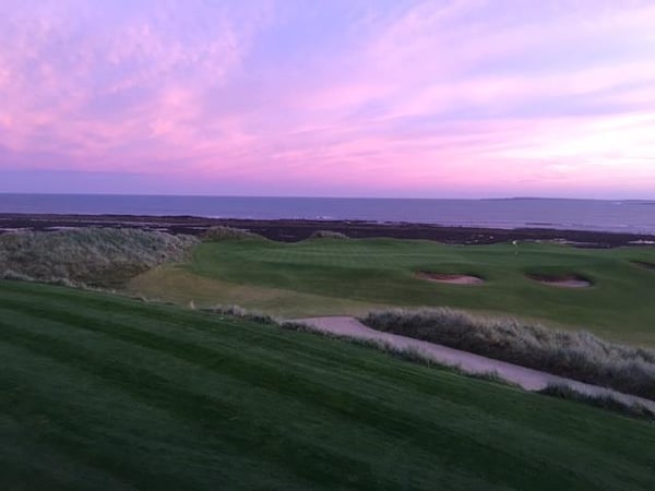 Andrea K. Weiss photo 3