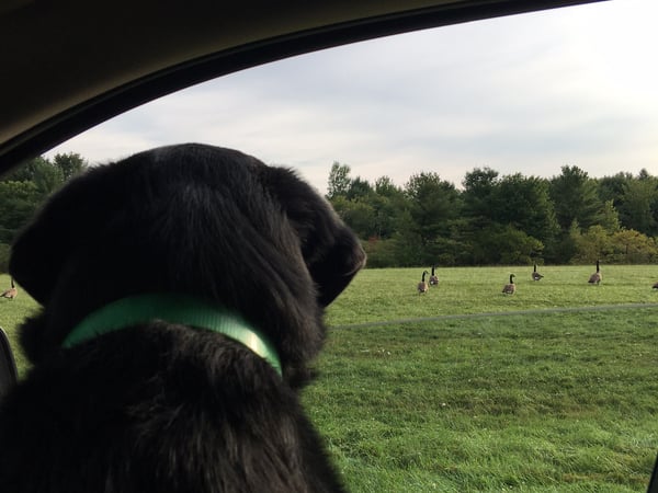 Stephanie McNair photo 5