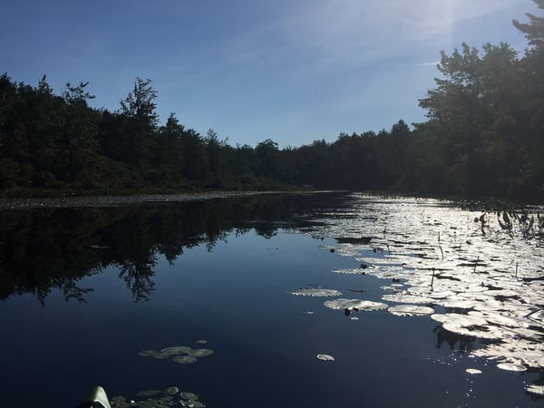 Stephanie McNair photo 4