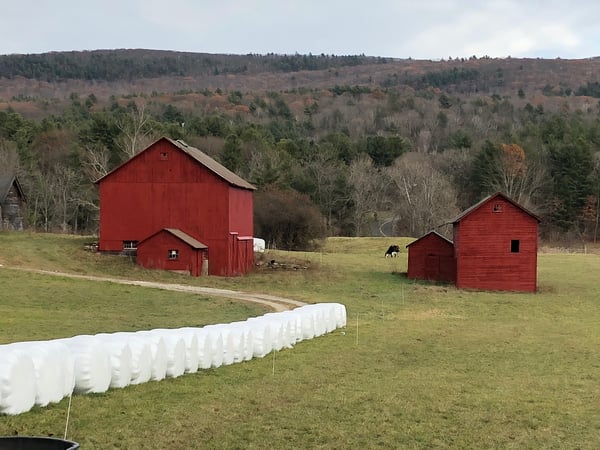 Gladys Montgomery photo 4