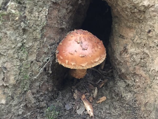 Jennifer Capala photo 3