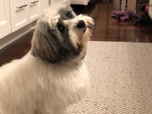 Phil Crosland photo 6