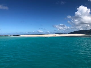 Bonnie Foster photo 6