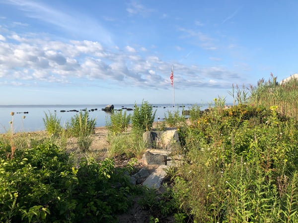 Kirsten Adams photo 2