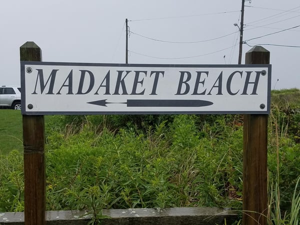 Carol Frattaroli photo 5