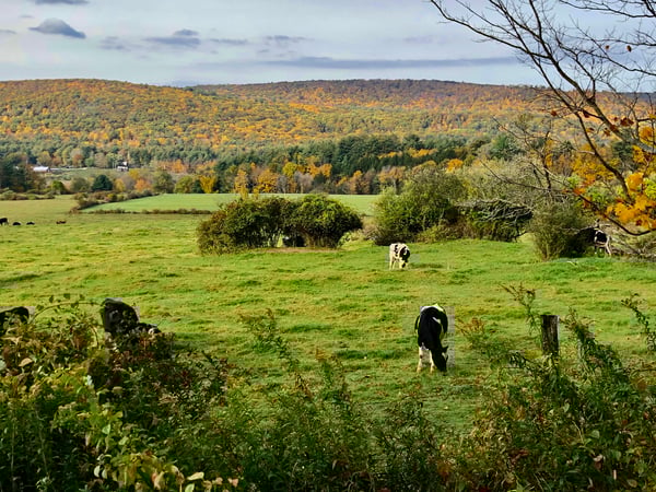 Leslie Glenn Chesloff photo 10